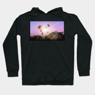 the sky'd be falling and i'll hold you tight Hoodie